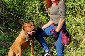 e261f586-afe2-4886-944b-ee4c5a4f1ee1